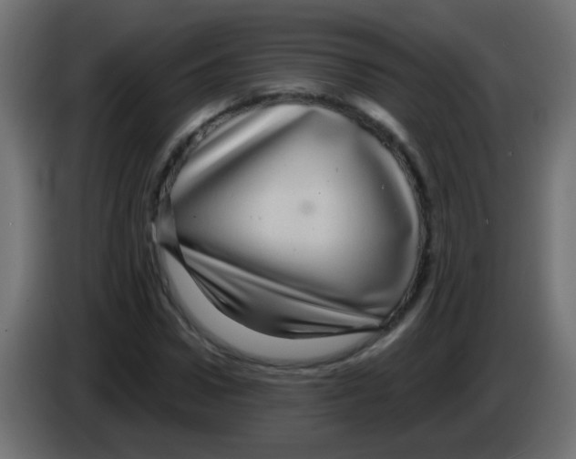 X0000083050922200703022107