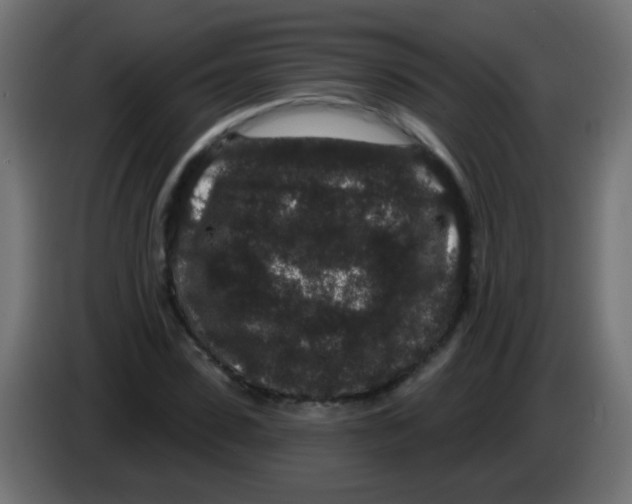 X0000083050923200703022107