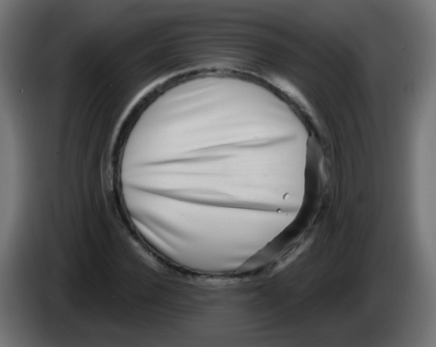 X0000083050924200703022107