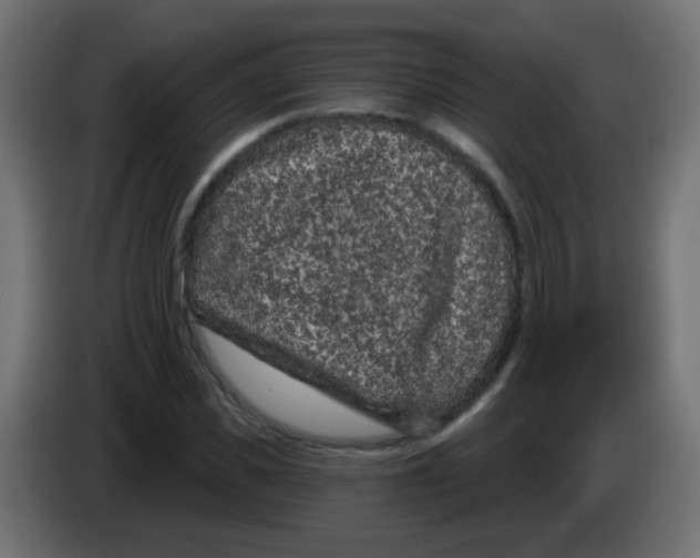 X0000083050925200703022107