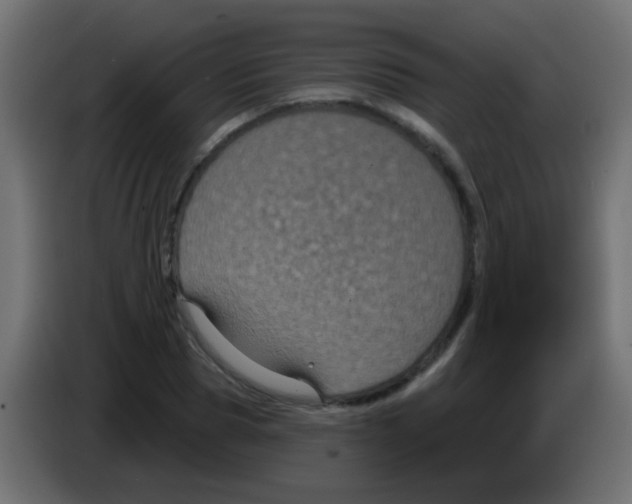 X0000083050929200703022107