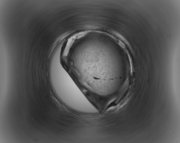 X0000083050930200703022107