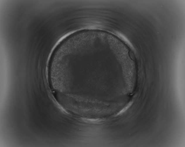 X0000083050932200703022107