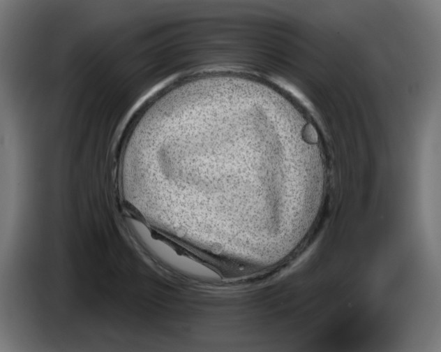 X0000083050933200703022107