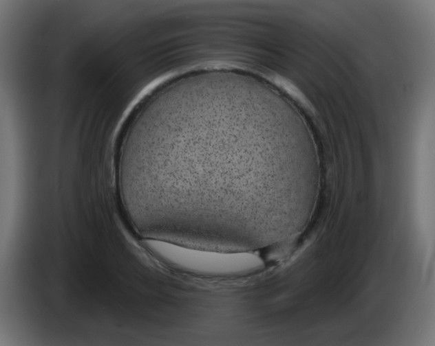 X0000083050934200703022107