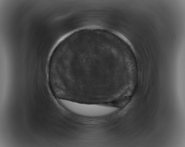 X0000083050935200703022107