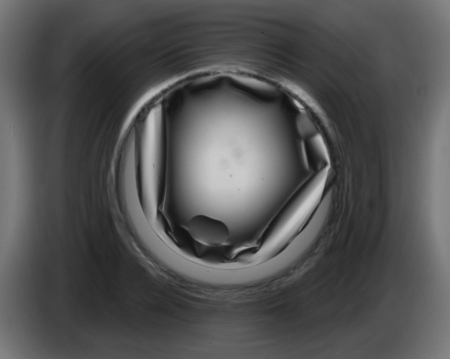 X0000083050936200703022107