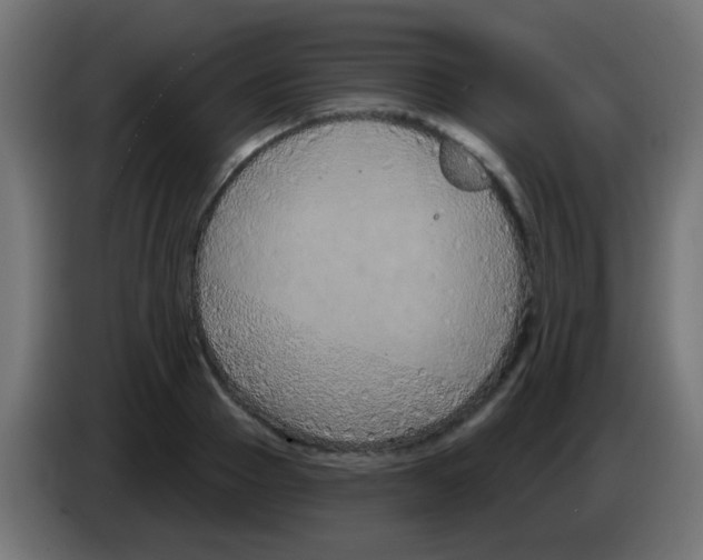 X0000083050937200703022107