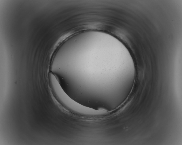 X0000083050938200703022107