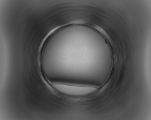 X0000083050939200703022107