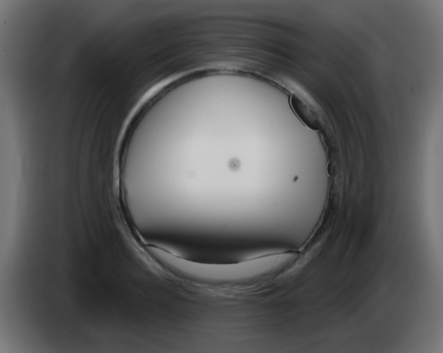 X0000083050940200703022107