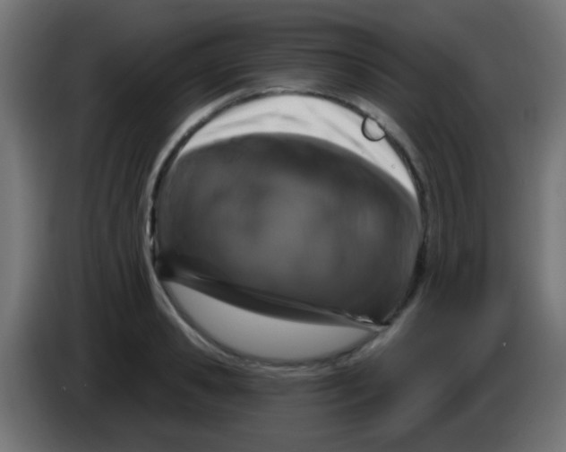 X0000083050941200703022107