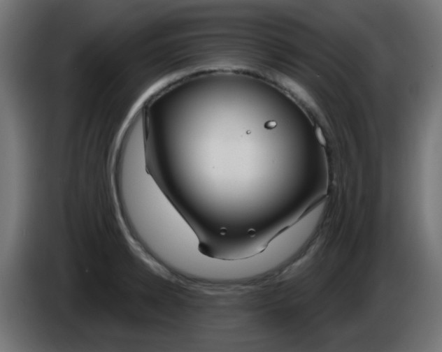 X0000083050942200703022107