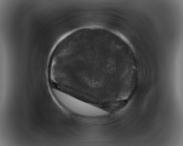 X0000083050943200703022107