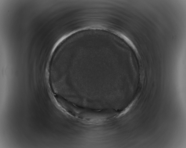 X0000083050944200703022107