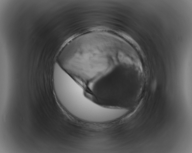 X0000083050945200703022107