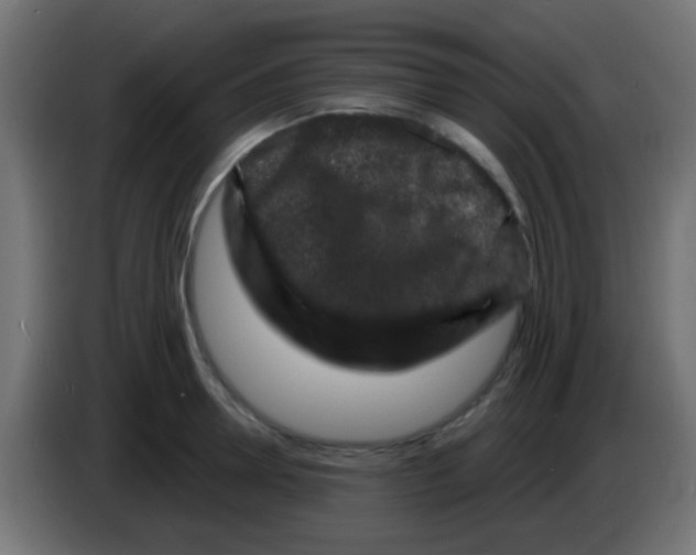 X0000083050946200703022107