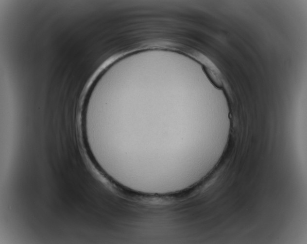 X0000083050947200703022107