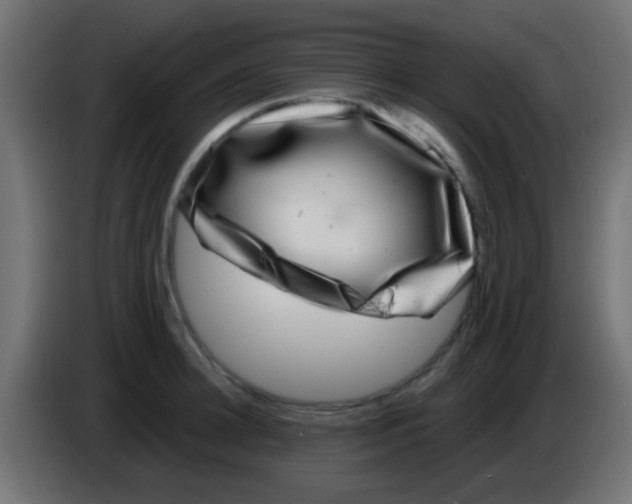 X0000083050948200703022108