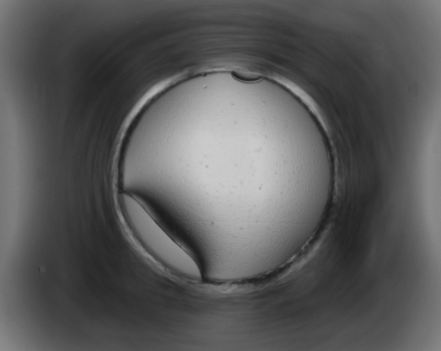 X0000083050949200703022108