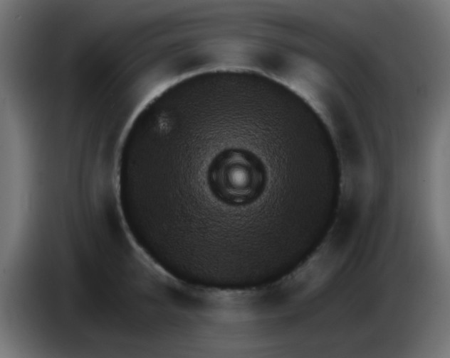 X0000083050950200703022108