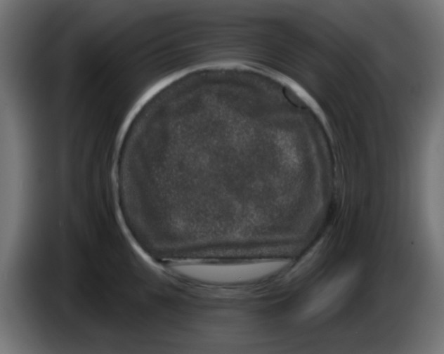 X0000083050951200703022108