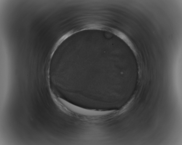 X0000083050954200703022108