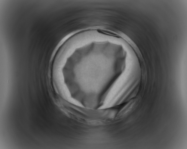 X0000083050956200703022108