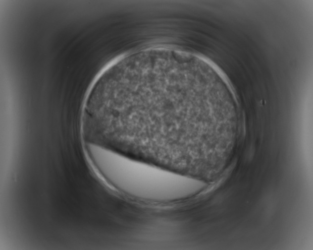 X0000083050957200703022108