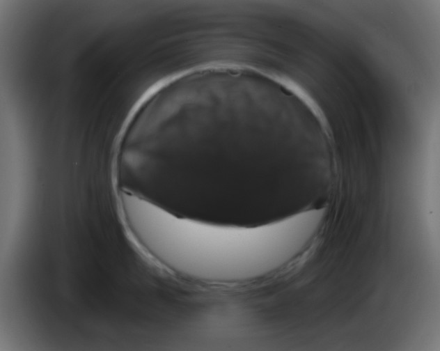 X0000083050958200703022108