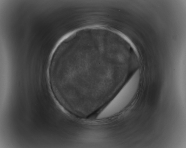 X0000083050959200703022108