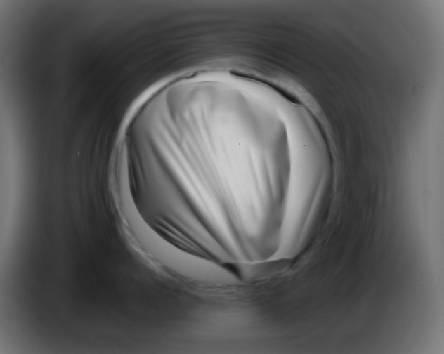 X0000083050960200703022108