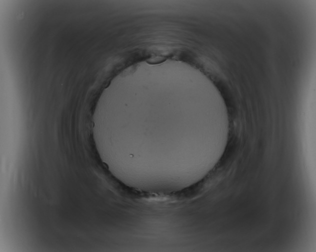 X0000083050961200703022107