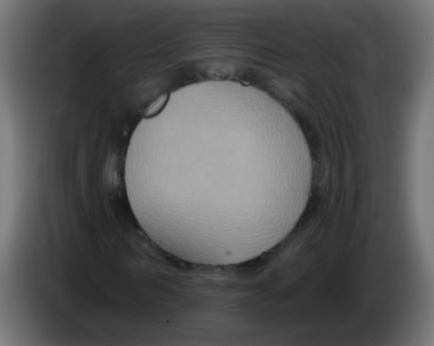 X0000083050962200703022107