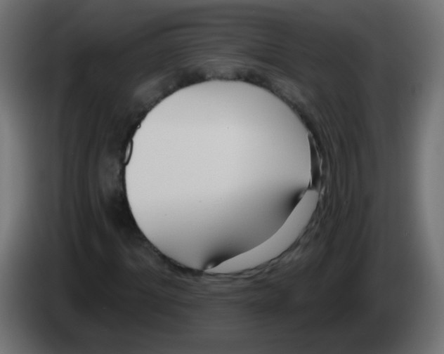 X0000083050964200703022107