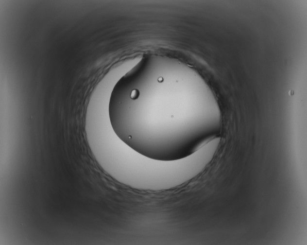 X0000083050965200703022107