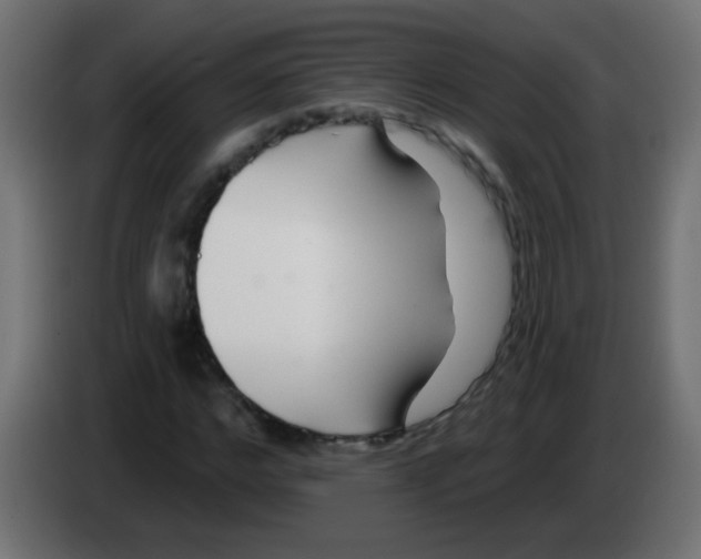 X0000083050968200703022107