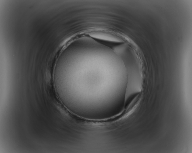 X0000083050969200703022107