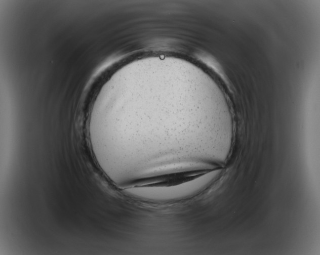 X0000083050971200703022107