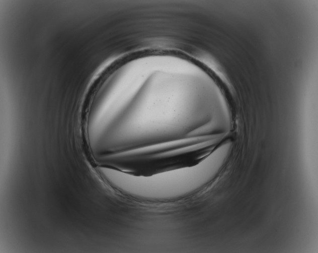 X0000083050972200703022107