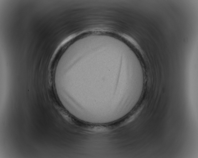 X0000083050974200703022107