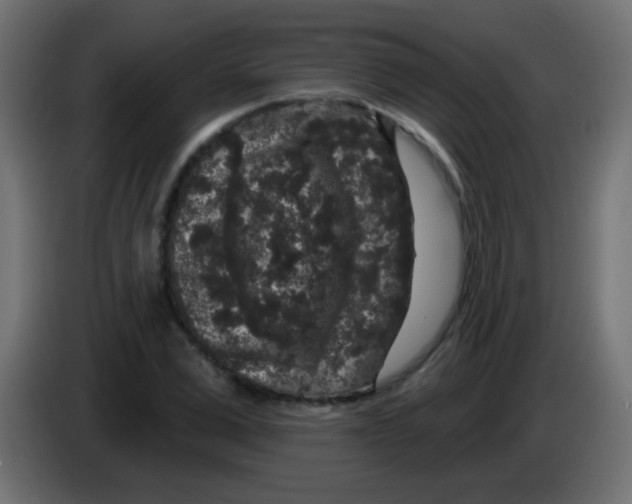 X0000083050975200703022107