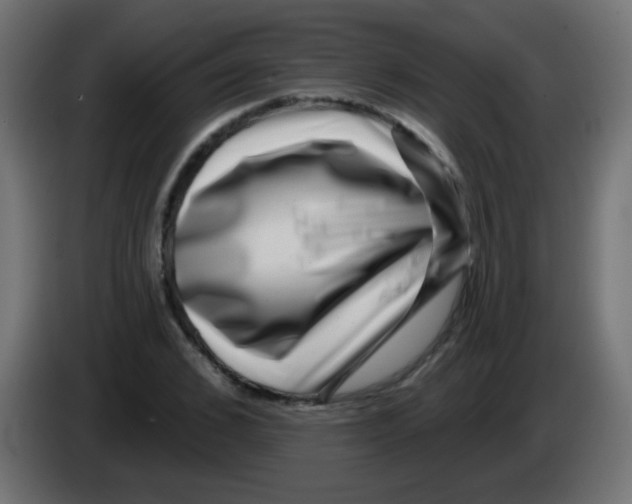 X0000083050976200703022107