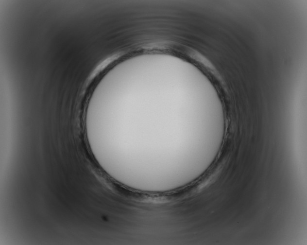 X0000083050978200703022107