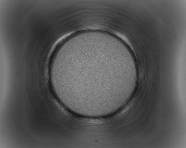 X0000083050979200703022107