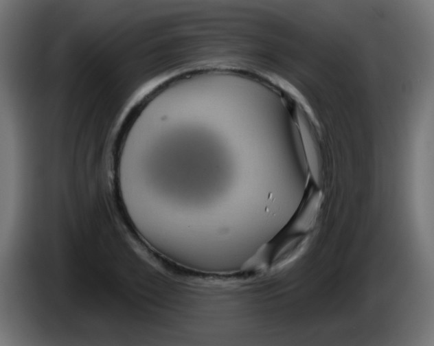 X0000083050981200703022107