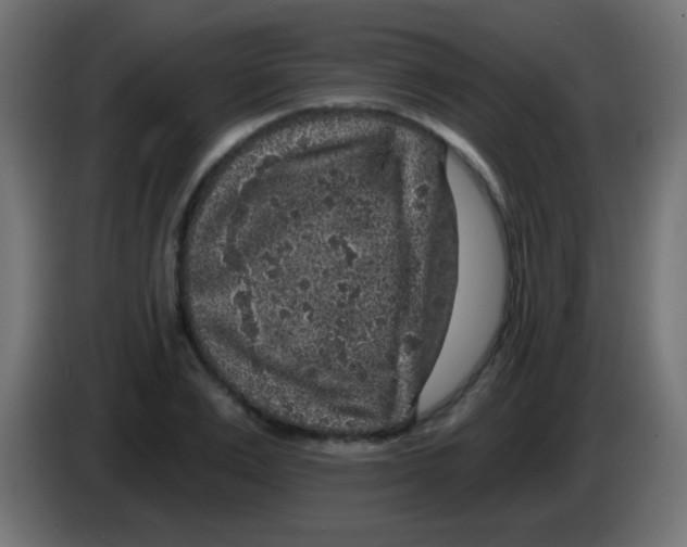 X0000083050983200703022107