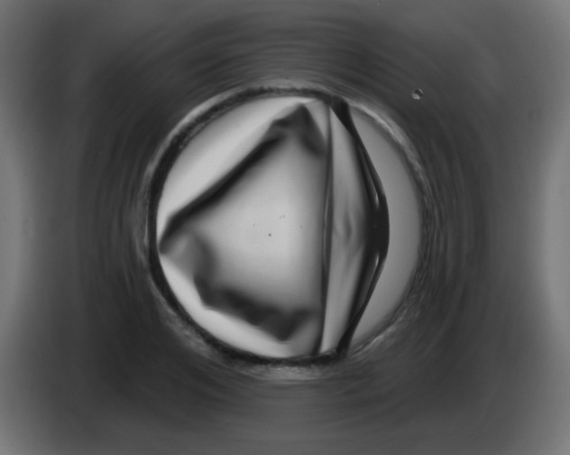 X0000083050984200703022107