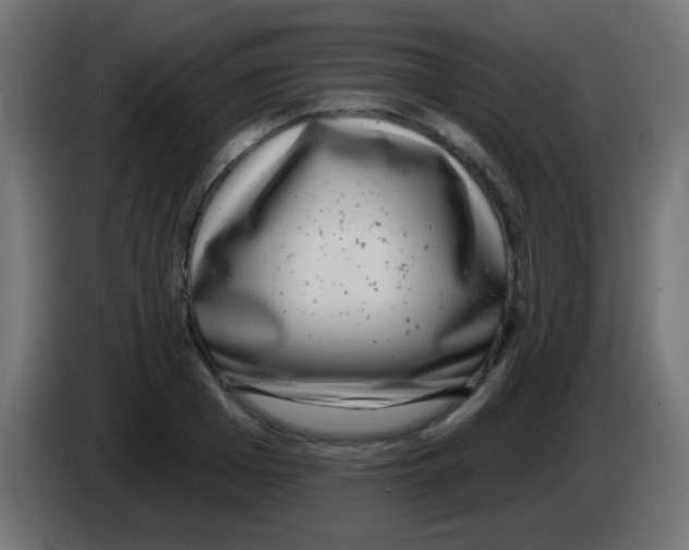 X0000083050985200703022107