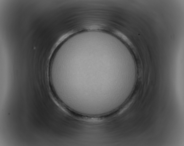 X0000083050986200703022107